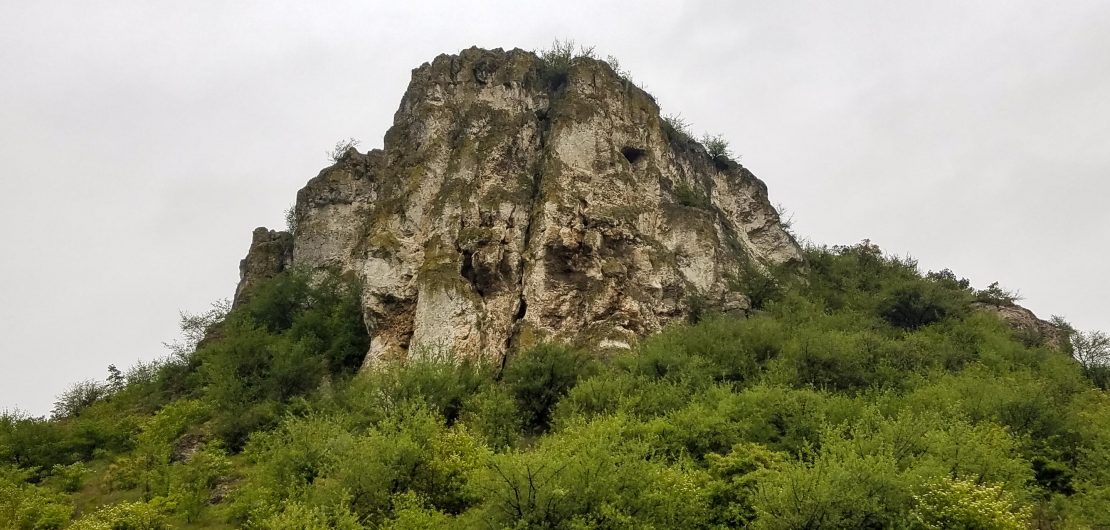 fetești_prorock
